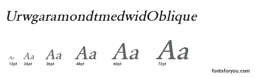 Размеры шрифта UrwgaramondtmedwidOblique