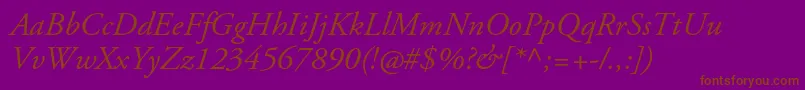 AgaramondproItalic Font – Brown Fonts on Purple Background