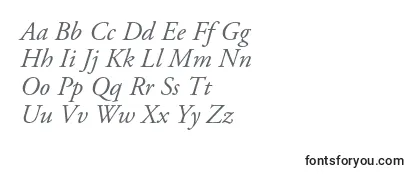 Review of the AgaramondproItalic Font