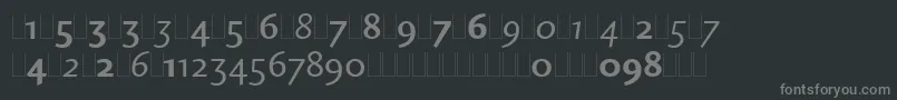 CharlotteSansOsFiguresLet Font – Gray Fonts on Black Background