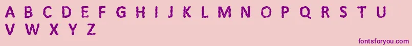 Litfi Font – Purple Fonts on Pink Background