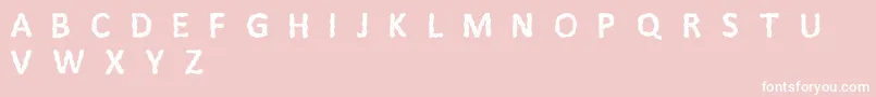 Litfi Font – White Fonts on Pink Background