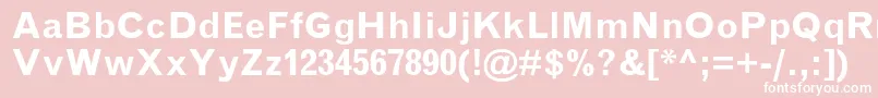 GrotesquemtstdBold Font – White Fonts on Pink Background