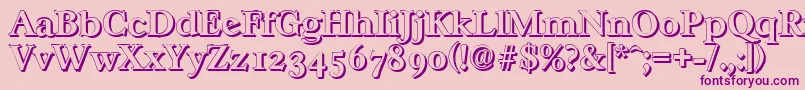 CasablancashadowBold Font – Purple Fonts on Pink Background