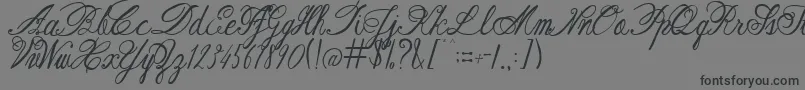 Шрифт AustieBostRestOfOurLives – чёрные шрифты на сером фоне