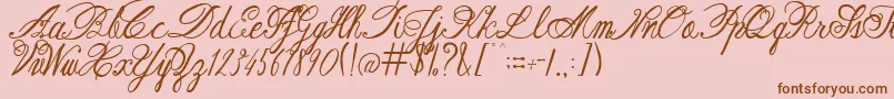 AustieBostRestOfOurLives Font – Brown Fonts on Pink Background