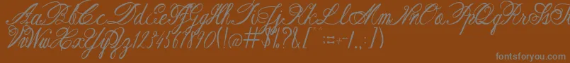 AustieBostRestOfOurLives-fontti – harmaat kirjasimet ruskealla taustalla
