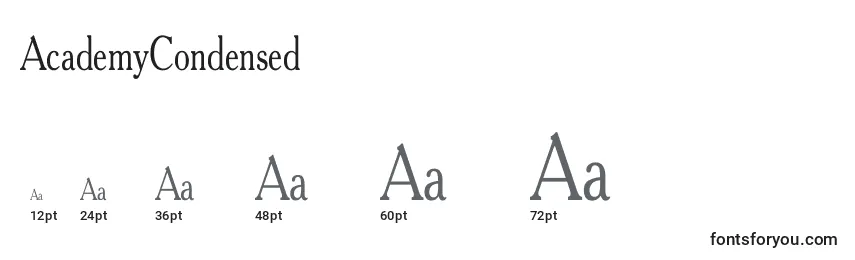 AcademyCondensed Font Sizes