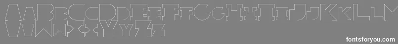 RexicRegular Font – White Fonts on Gray Background