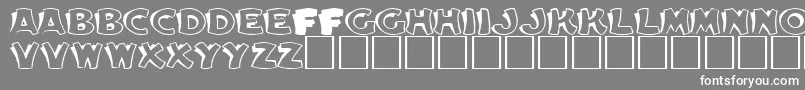 フォントEleanorRegular – 灰色の背景に白い文字