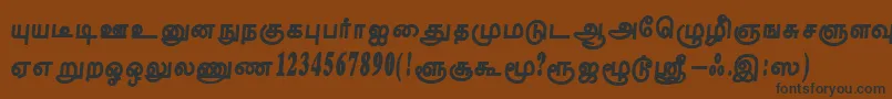 Шрифт TharakaiRegular – чёрные шрифты на коричневом фоне