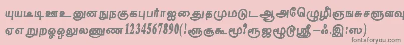 フォントTharakaiRegular – ピンクの背景に灰色の文字