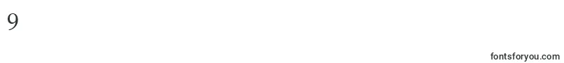 フォントCriteriaOldstyleSsiSmallCaps – フォント数字9