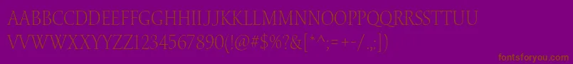 WaterstitlingproLtscn Font – Brown Fonts on Purple Background