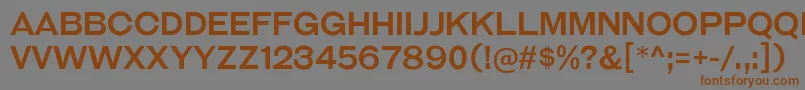 GalderglynnTitlingRg Font – Brown Fonts on Gray Background