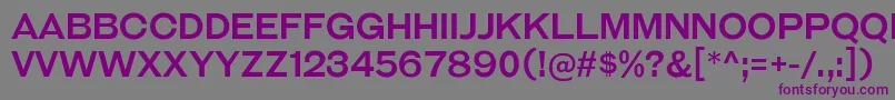 GalderglynnTitlingRg Font – Purple Fonts on Gray Background