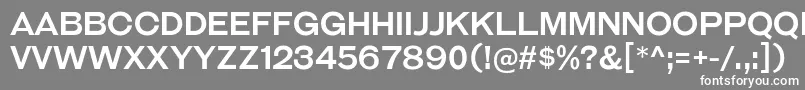 GalderglynnTitlingRg Font – White Fonts on Gray Background