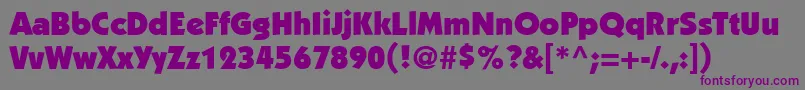 PerformaBlackSsiBlack Font – Purple Fonts on Gray Background