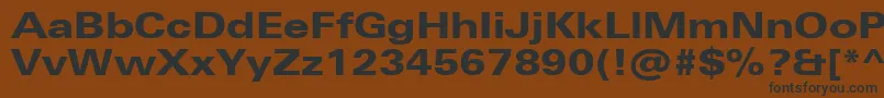 Шрифт UniversNextProHeavyExtended – чёрные шрифты на коричневом фоне
