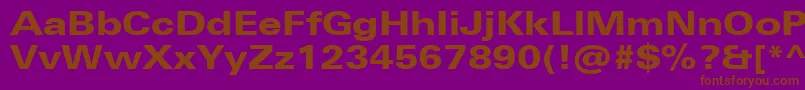 UniversNextProHeavyExtended Font – Brown Fonts on Purple Background