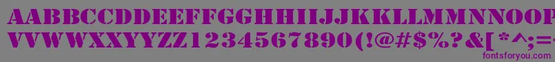 フォントRudyWide – 紫色のフォント、灰色の背景