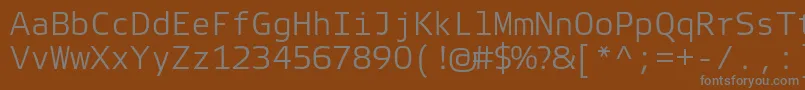 Шрифт ElektraMonoLightPro – серые шрифты на коричневом фоне