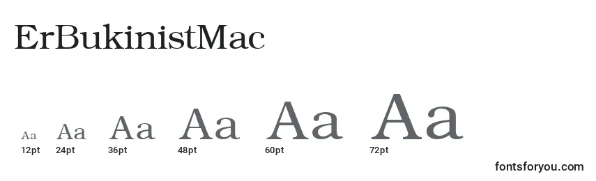 Размеры шрифта ErBukinistMac