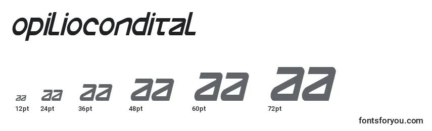 Opiliocondital Font Sizes