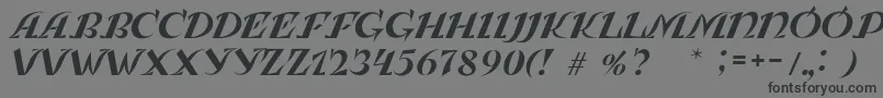 LeningradkaKursiv Font – Black Fonts on Gray Background
