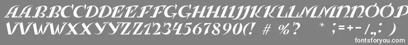 フォントLeningradkaKursiv – 灰色の背景に白い文字