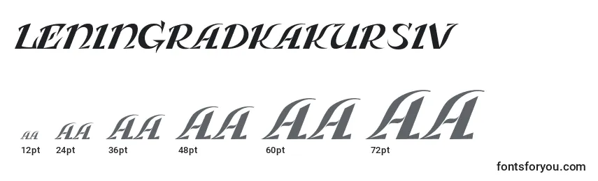 Größen der Schriftart LeningradkaKursiv
