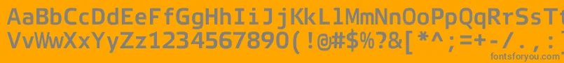 ElektraMonoProBold Font – Gray Fonts on Orange Background