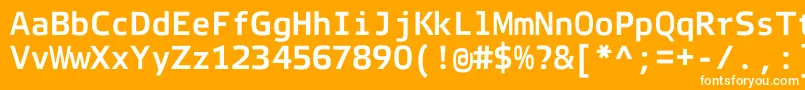 フォントElektraMonoProBold – オレンジの背景に白い文字