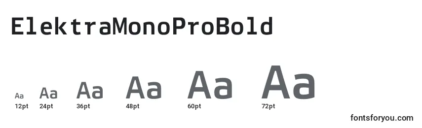 ElektraMonoProBold Font Sizes