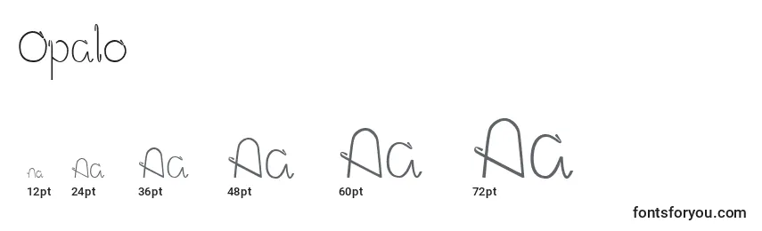 Размеры шрифта Opalo