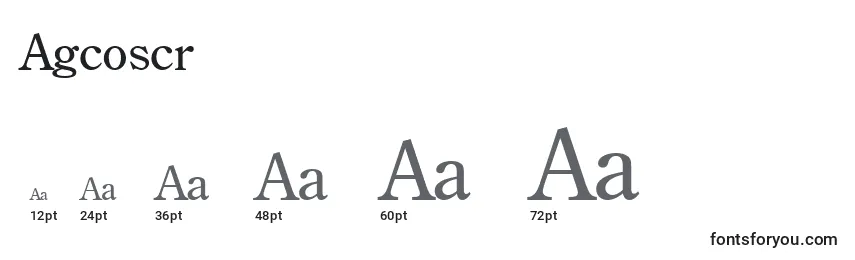 Размеры шрифта Agcoscr