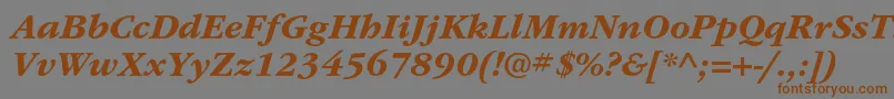 ItcgaramondstdBdita Font – Brown Fonts on Gray Background