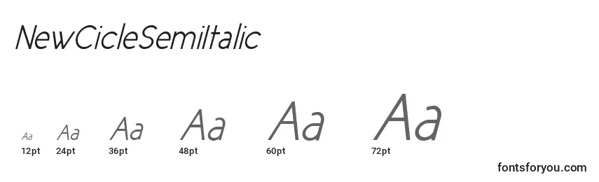 Размеры шрифта NewCicleSemiItalic