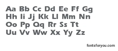 Ergoxb Font