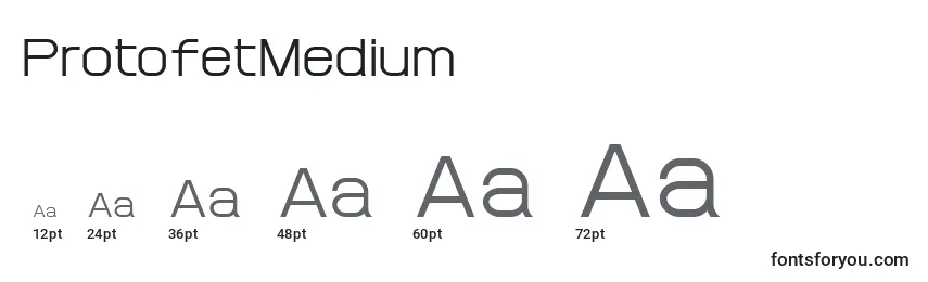 Размеры шрифта ProtofetMedium