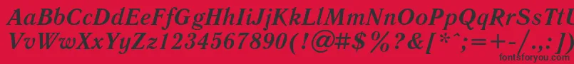 LiteraturnayaBoldItalic Font – Black Fonts on Red Background