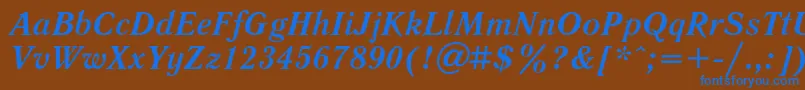 LiteraturnayaBoldItalic Font – Blue Fonts on Brown Background