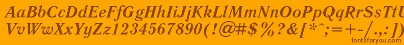 LiteraturnayaBoldItalic Font – Brown Fonts on Orange Background