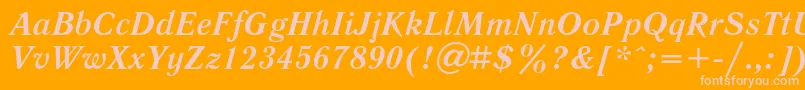 LiteraturnayaBoldItalic Font – Pink Fonts on Orange Background