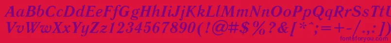 LiteraturnayaBoldItalic Font – Purple Fonts on Red Background