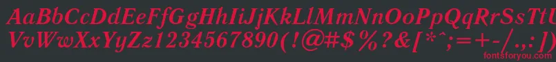 LiteraturnayaBoldItalic Font – Red Fonts on Black Background