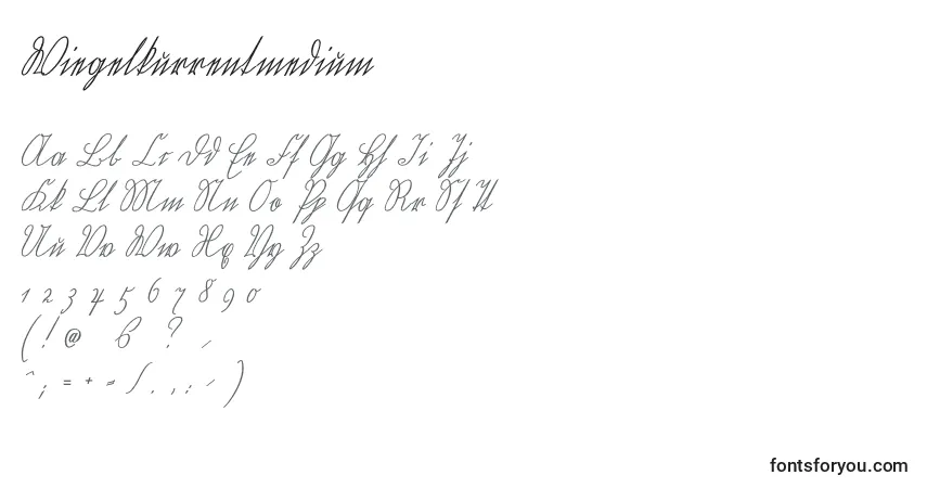 Fuente Wiegelkurrentmedium - alfabeto, números, caracteres especiales