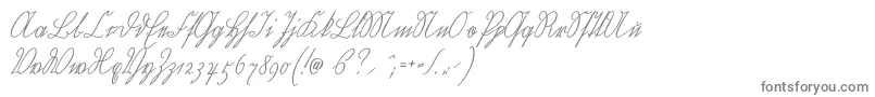 Wiegelkurrentmedium-Schriftart – Graue Schriften auf weißem Hintergrund