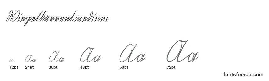 Wiegelkurrentmedium Font Sizes