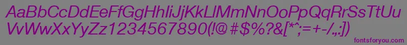 OlnovaMediumita Font – Purple Fonts on Gray Background